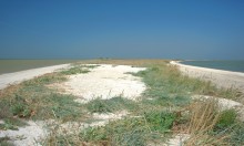 Глафировская коса и её обитатели в начале сентября