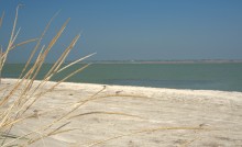 Глафировская коса и её обитатели в начале сентября