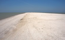 Глафировская коса и её обитатели в начале сентября