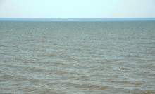 Глафировская коса и её обитатели в начале сентября