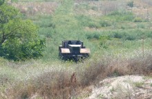 Глафировская коса и её обитатели в начале сентября