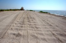 Глафировская коса и её обитатели в начале сентября