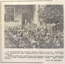 Клумба у колбасного завода в Ростове на Дону