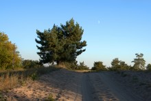 Ранняя осень на Калитве между Литвиновкой и Ленина