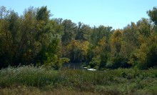 Ранняя осень на Калитве между Литвиновкой и Ленина