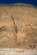 Рушащийся берег у Камышевахской