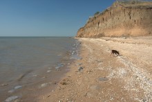 Рушащийся берег у Камышевахской