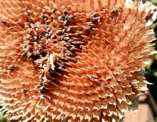 Природа нижнего Дона в октябре