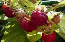 Природа нижнего Дона в октябре