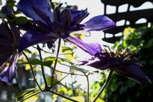 Природа нижнего Дона в октябре