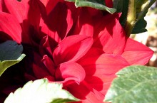 Природа нижнего Дона в октябре