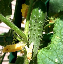 Природа нижнего Дона в октябре