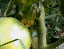 Природа нижнего Дона в октябре