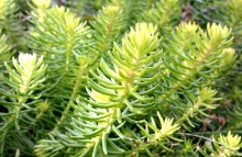 Природа нижнего Дона в октябре