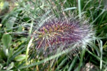 Природа нижнего Дона в октябре