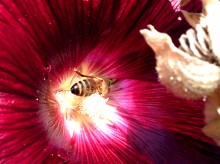 Природа нижнего Дона в октябре