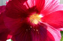 Природа нижнего Дона в октябре