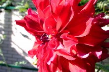 Природа нижнего Дона в октябре