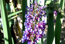 Природа нижнего Дона в октябре