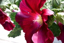 Природа нижнего Дона в октябре