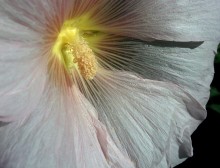 Природа нижнего Дона в октябре