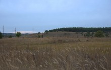 В лесах и степях между Вёшенской и Казанской, на берегу Песковатки и на Солонцовском роднике