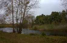 В лесах и степях между Вёшенской и Казанской, на берегу Песковатки и на Солонцовском роднике