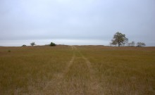 В лесах и степях между Вёшенской и Казанской, на берегу Песковатки и на Солонцовском роднике