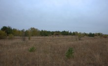 В лесах и степях между Вёшенской и Казанской, на берегу Песковатки и на Солонцовском роднике