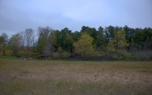 В лесах и степях между Вёшенской и Казанской, на берегу Песковатки и на Солонцовском роднике