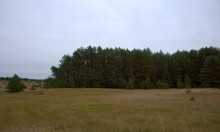 В лесах и степях между Вёшенской и Казанской, на берегу Песковатки и на Солонцовском роднике