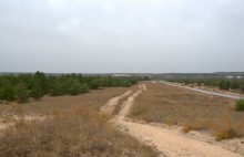 В лесах и степях между Вёшенской и Казанской, на берегу Песковатки и на Солонцовском роднике