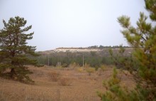 В лесах и степях между Вёшенской и Казанской, на берегу Песковатки и на Солонцовском роднике