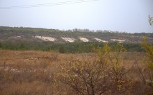 В лесах и степях между Вёшенской и Казанской, на берегу Песковатки и на Солонцовском роднике