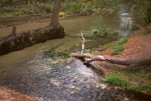 В лесах и степях между Вёшенской и Казанской, на берегу Песковатки и на Солонцовском роднике