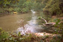 В лесах и степях между Вёшенской и Казанской, на берегу Песковатки и на Солонцовском роднике