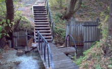 В лесах и степях между Вёшенской и Казанской, на берегу Песковатки и на Солонцовском роднике