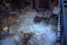 В лесах и степях между Вёшенской и Казанской, на берегу Песковатки и на Солонцовском роднике