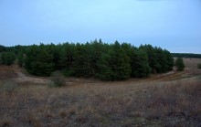 В лесах и степях между Вёшенской и Казанской, на берегу Песковатки и на Солонцовском роднике