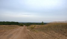 В лесах и степях между Вёшенской и Казанской, на берегу Песковатки и на Солонцовском роднике
