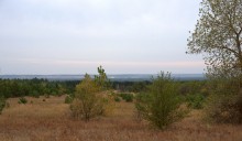 В лесах и степях между Вёшенской и Казанской, на берегу Песковатки и на Солонцовском роднике
