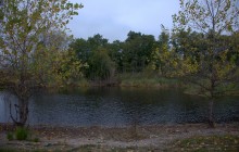 В лесах и степях между Вёшенской и Казанской, на берегу Песковатки и на Солонцовском роднике