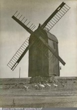 Ветряные мельницы станицы Камышеватской и ветряные мельницы Меотиды