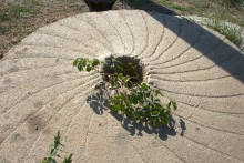 Ветряные мельницы станицы Камышеватской и ветряные мельницы Меотиды