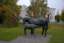 Набережная в Вёшенской