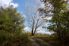 Песчаные горы и скалы на берегу Сухого Донца