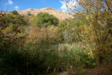 Песчаные горы и скалы на берегу Сухого Донца