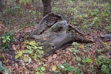 Песчаные горы и скалы на берегу Сухого Донца