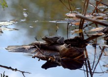 Песчаные горы и скалы на берегу Сухого Донца