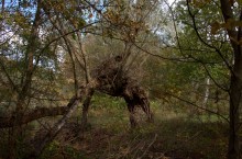 Песчаные горы и скалы на берегу Сухого Донца